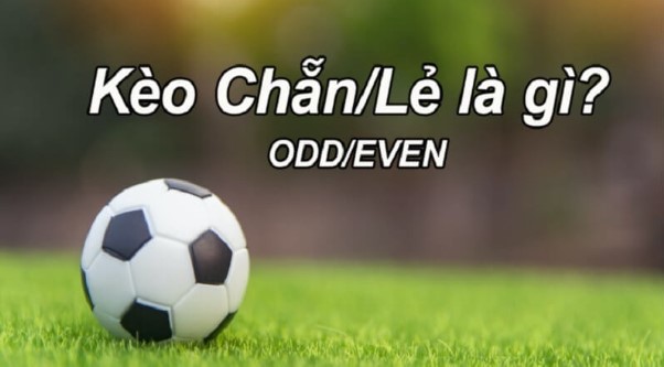 Cách Đọc Kèo Chẵn Lẻ: Hướng Dẫn Dành Cho Người Mới Bắt Đầu